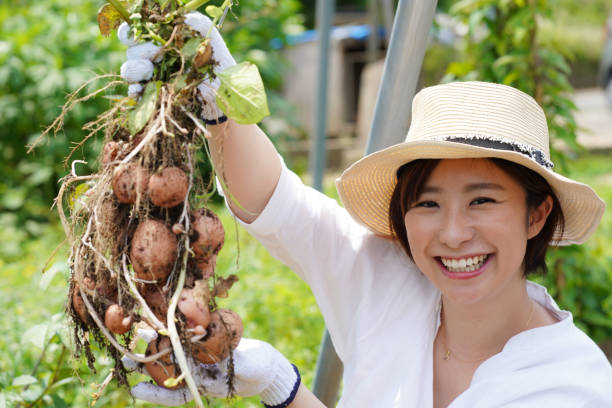 農家の婚活最前線！花嫁・花婿に出会えるチャンス